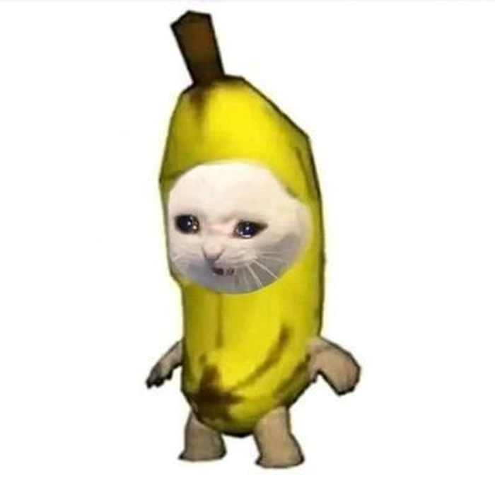 Meme con mèo chuối mặt ngáo