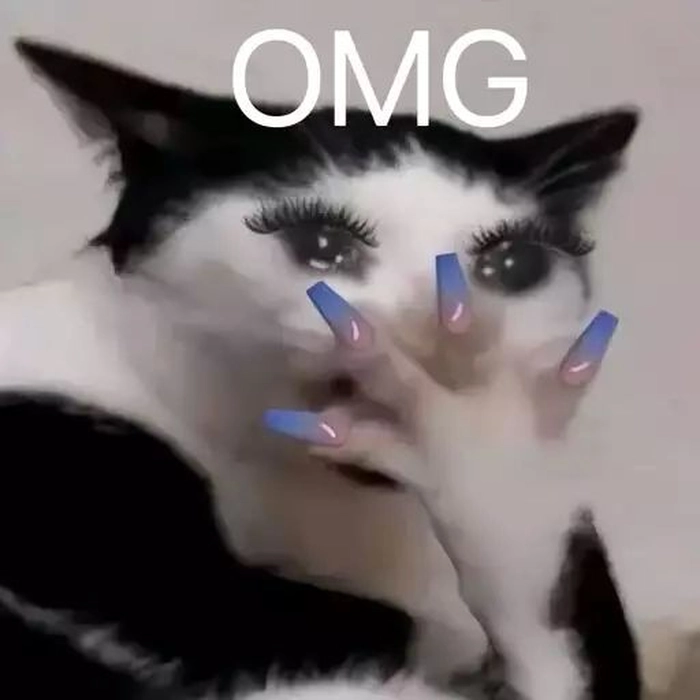 Meme con mèo ngạc nhiên dễ thương