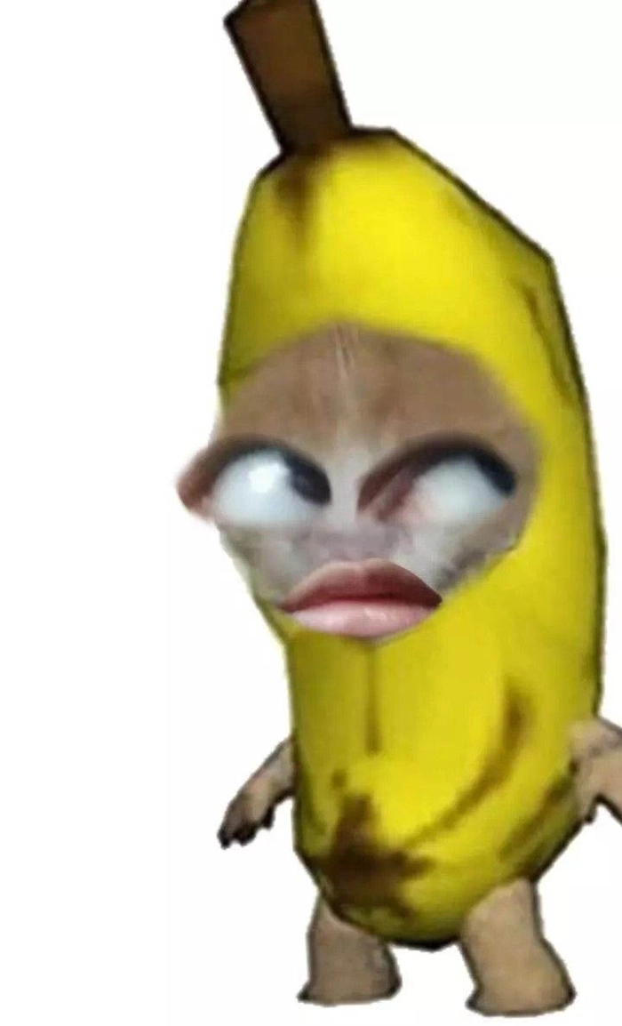 Meme con mèo quả chuối buồn cười