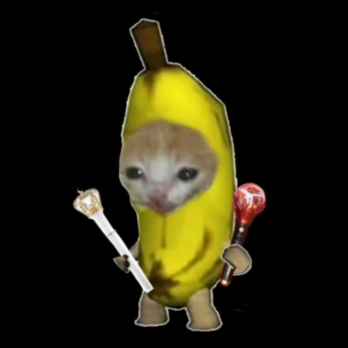 Meme con mèo quả chuối ngậm lệ