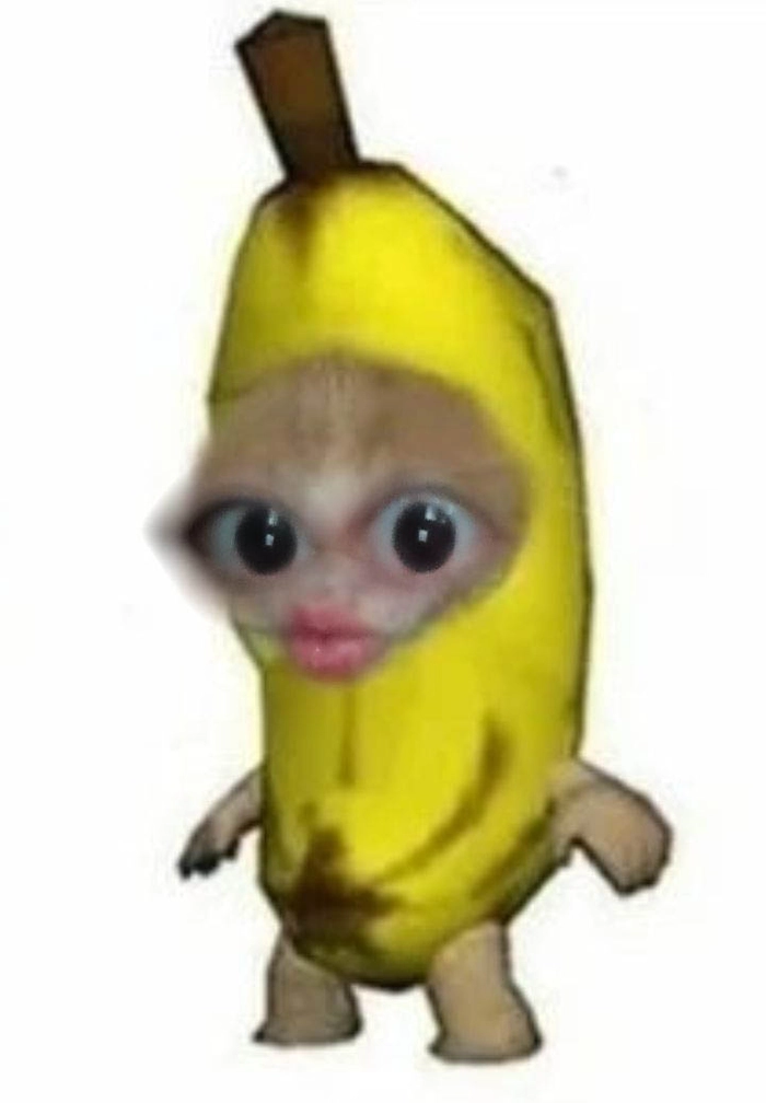 Meme con mèo quả chuối ngơ