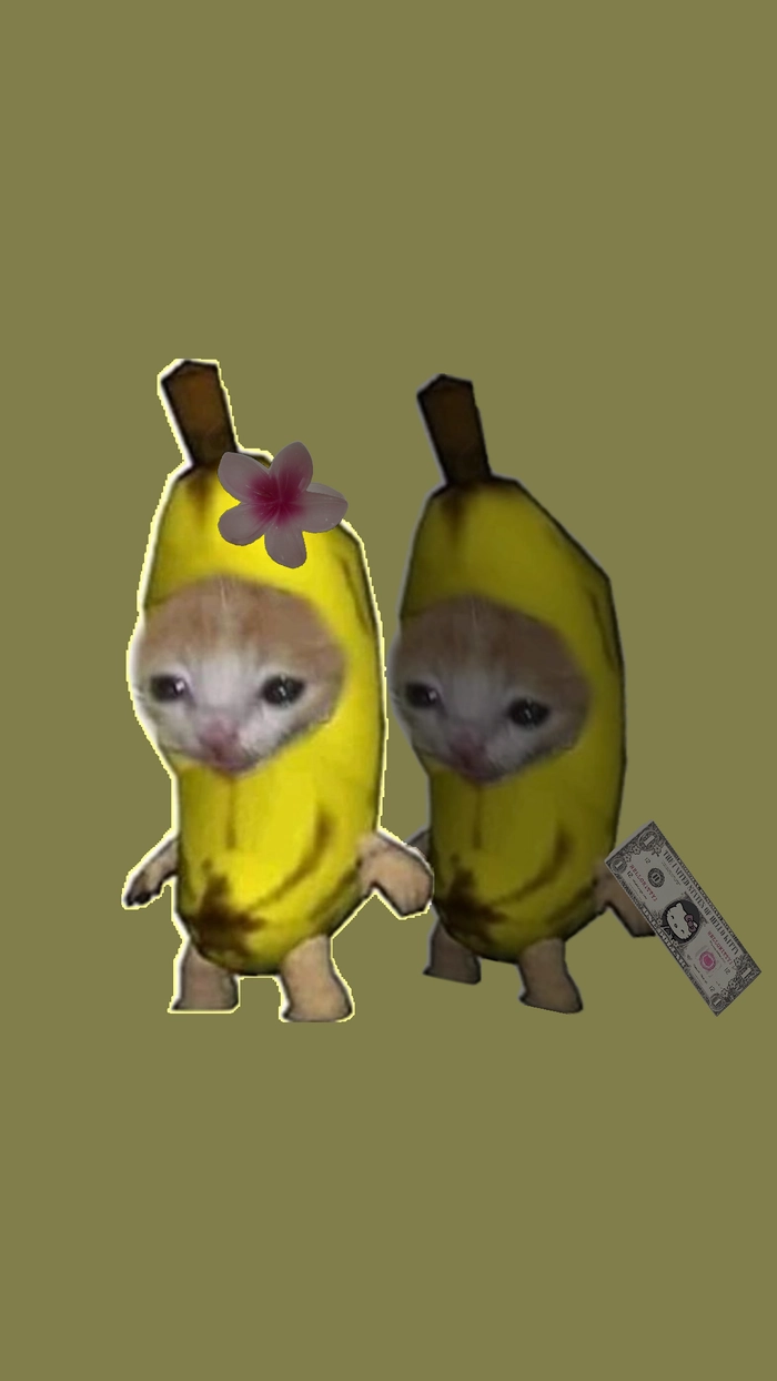 Meme con mèo trái chuối biểu cảm