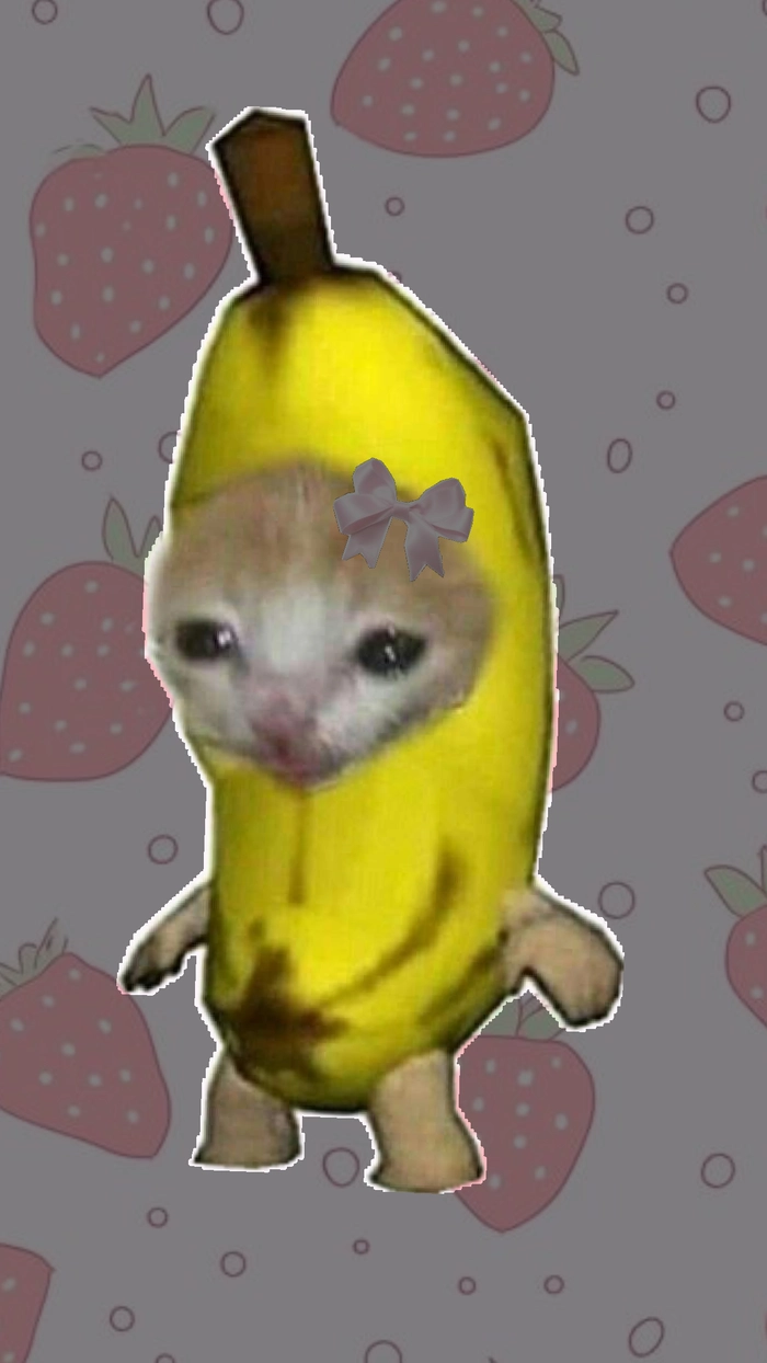 Meme con mèo trái chuối cute