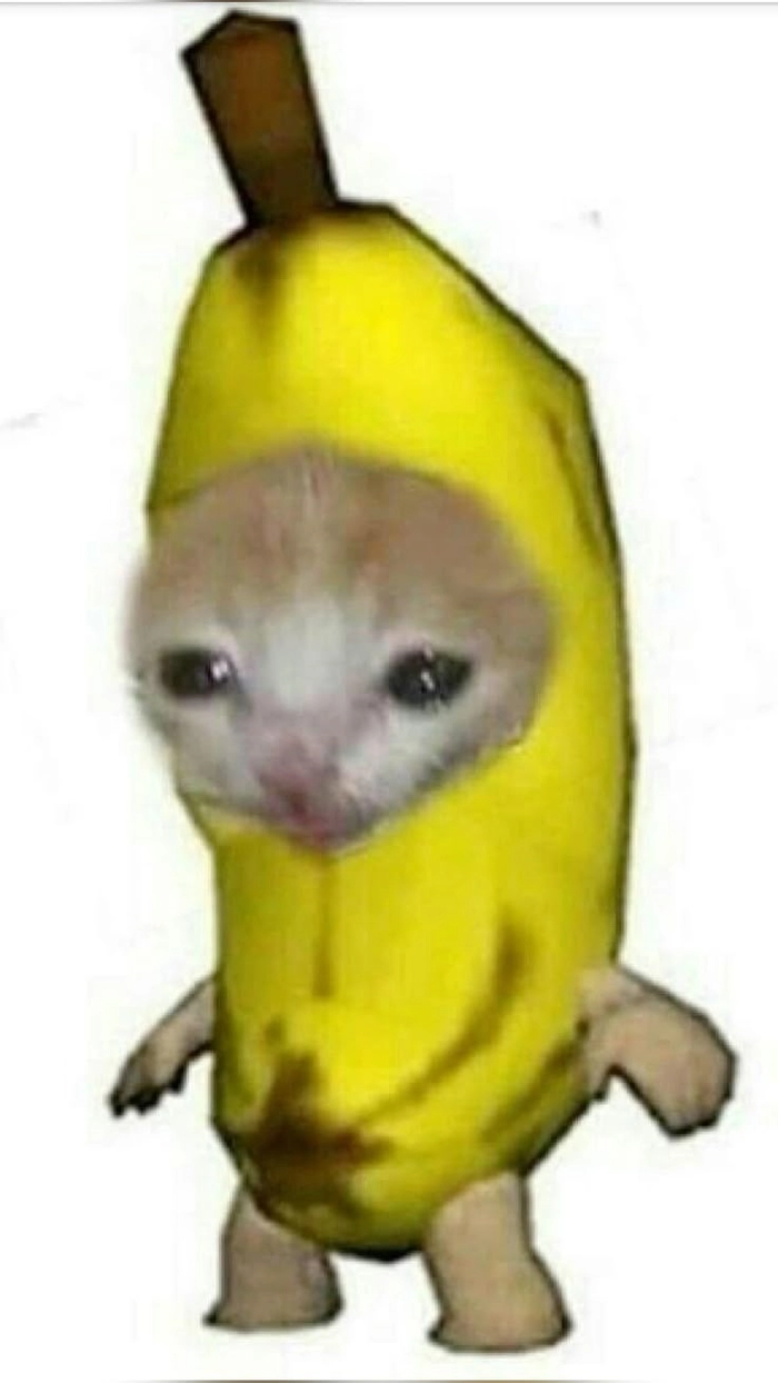 Meme con mèo trái chuối siêu lầy