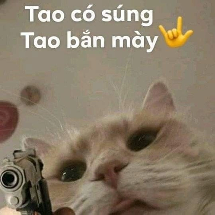 Meme mèo bắn súng siêu bựa