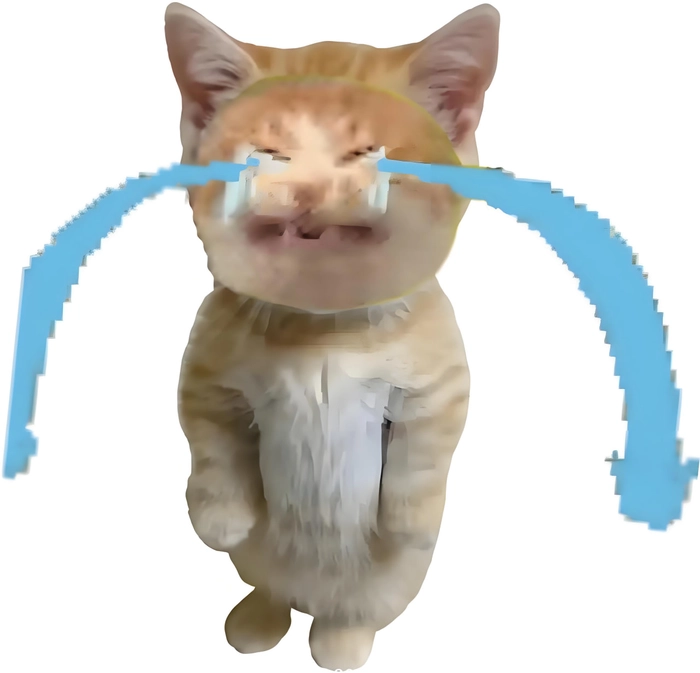 Meme mèo buồn bã cute ngất ngây