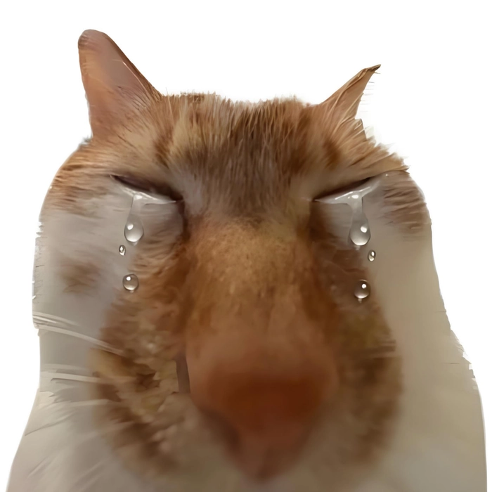 Meme mèo buồn khóc meme viral
