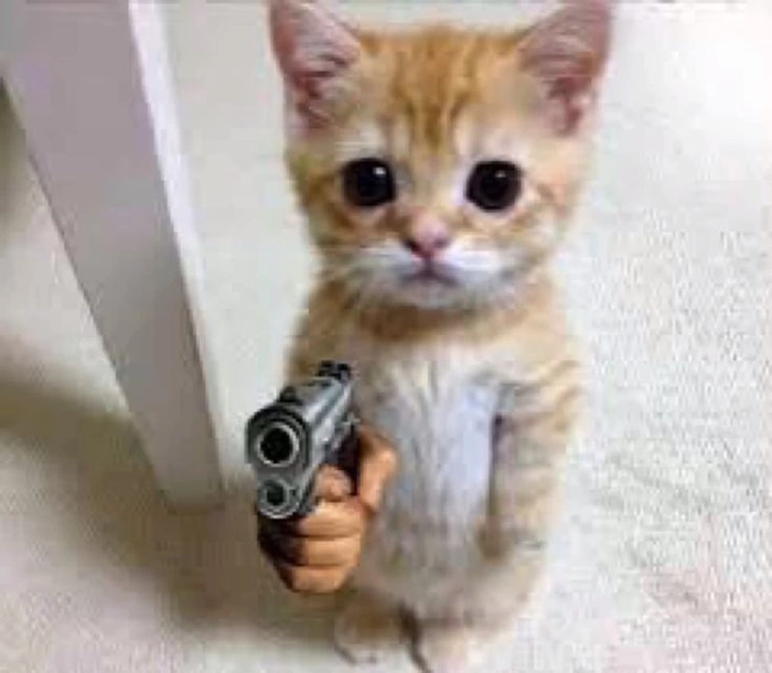 Meme mèo cầm súng ngầu lòi