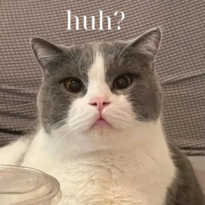 Meme mèo chấm hỏi chế mới nhất