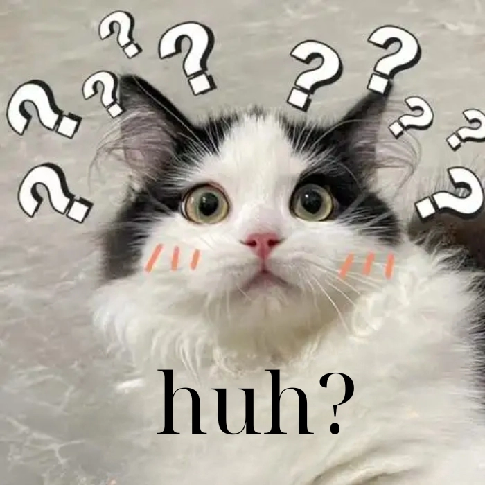 Meme mèo chấm hỏi cười xỉu