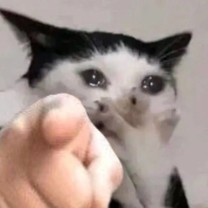 Meme mèo chỉ tay phê phán