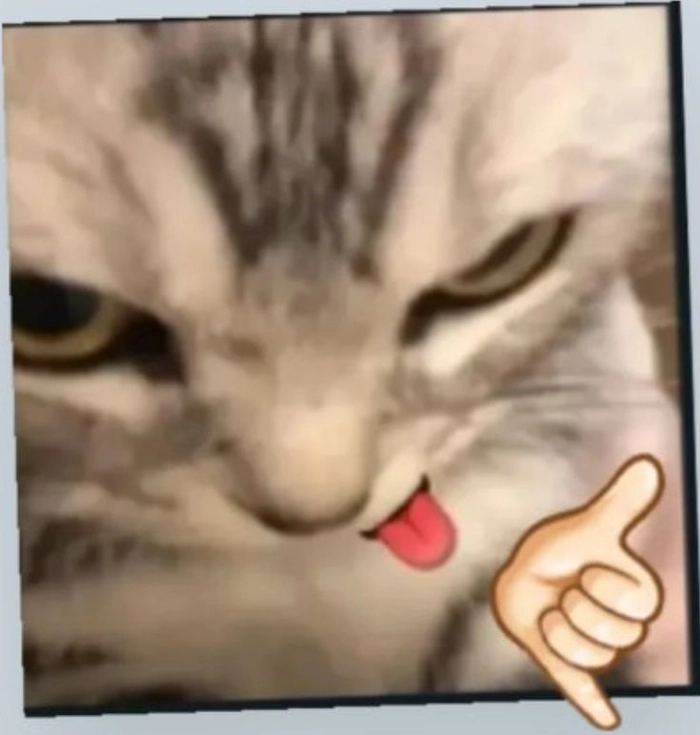 Meme mèo chỉ tay và giận