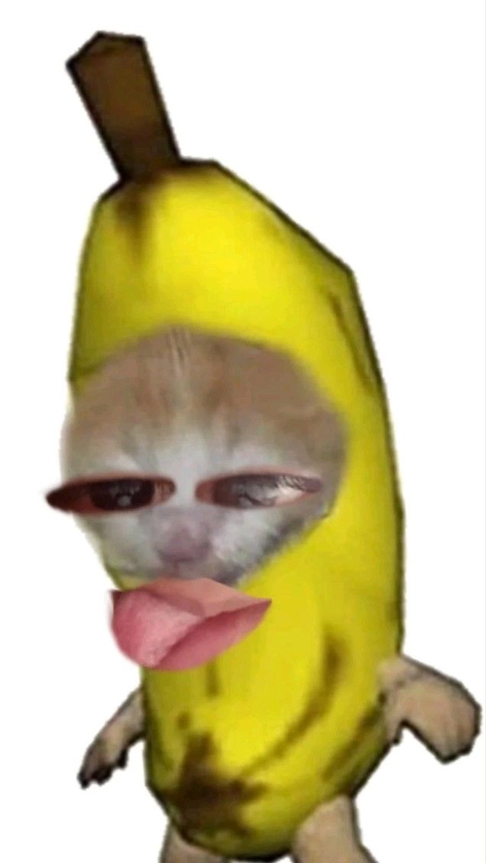 Meme mèo chuối đang rơi nước mắt