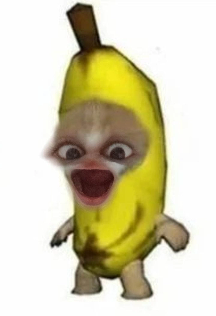 Meme mèo chuối hài lầy lội