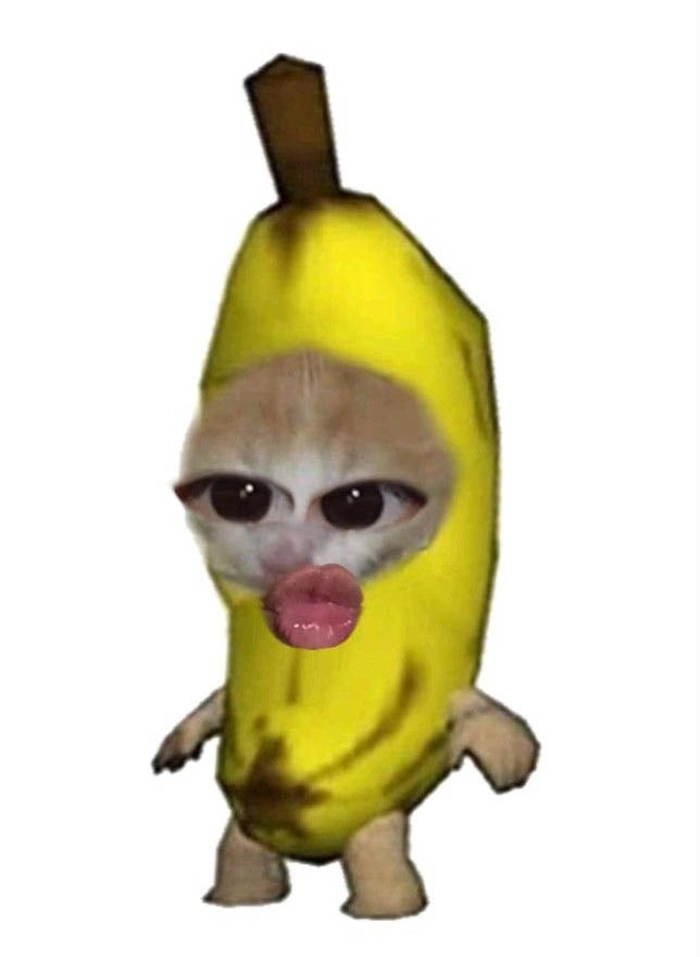 Meme mèo chuối khóc troll hài