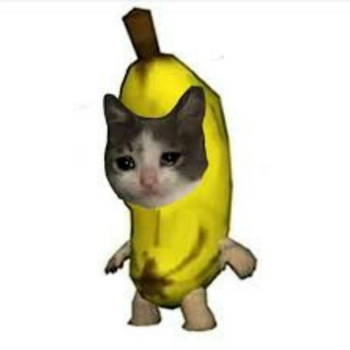 Meme mèo chuối ngơ ngác chế