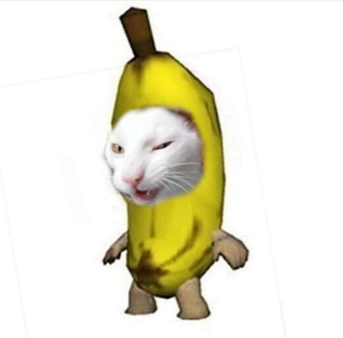 Meme mèo chuối ngơ ngác