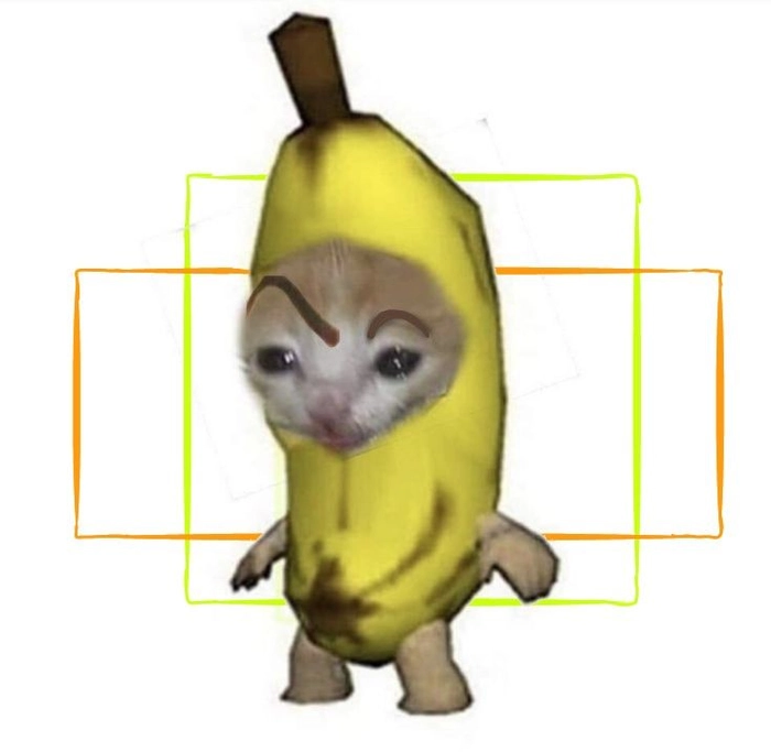 Meme mèo chuối nhìn vô định
