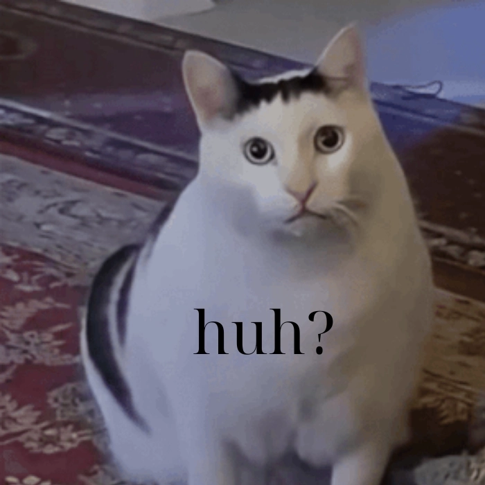 Meme mèo huh gif hài hước