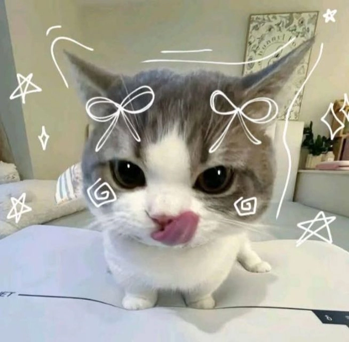 Meme mèo lè lưỡi tấu hài cute