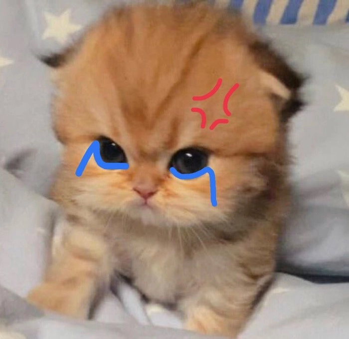 Meme mèo sad chất như nước cất