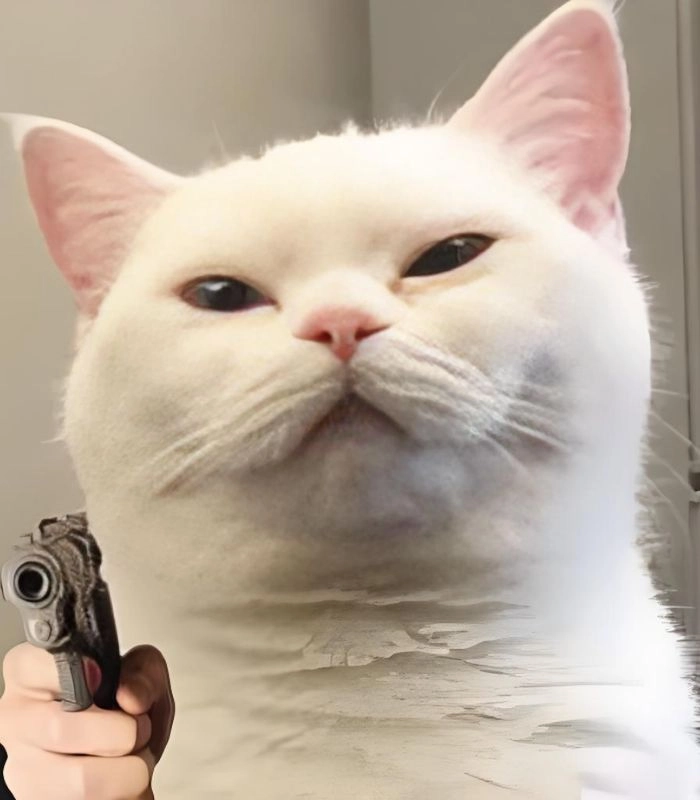 Mèo meme cầm súng chất chơi