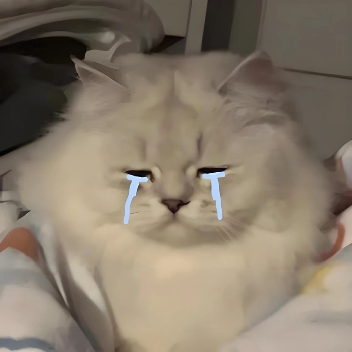 Mèo meme sad hợp mood cuối tháng