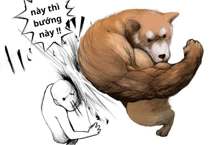 Con chó cơ bắp meme chế hài