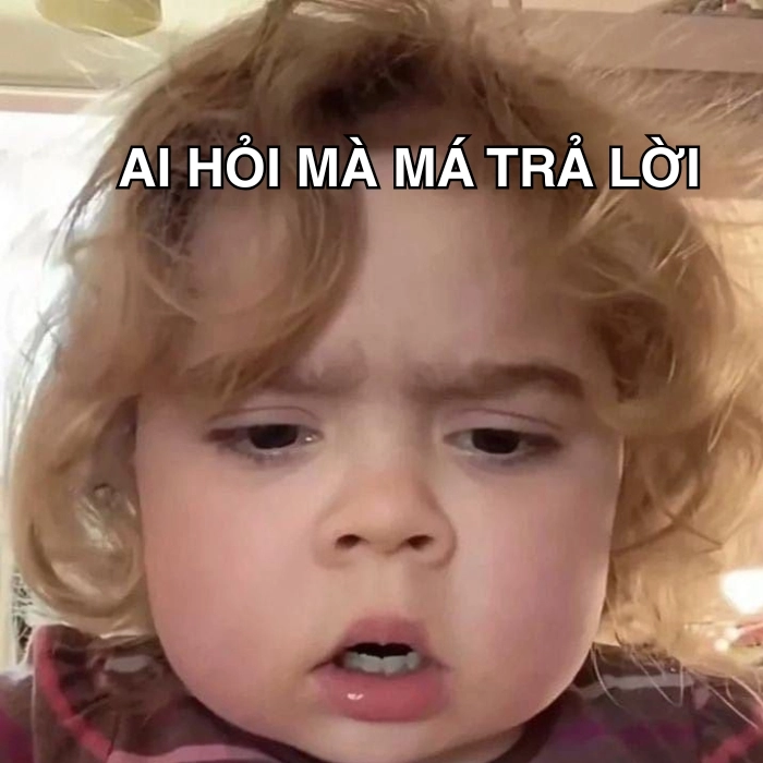 Ai hỏi mà mày trả lời meme