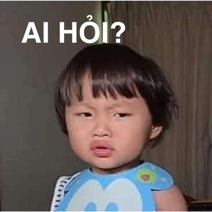 Ai hỏi mà trả lời meme