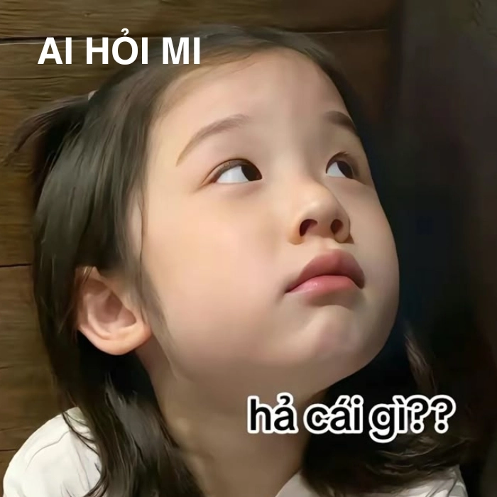 Ai hỏi mà trả lời nhiệt tình meme