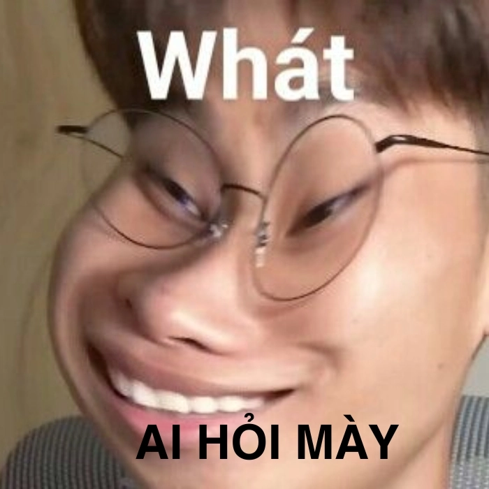 Ai hỏi mà viết luận văn vậy meme