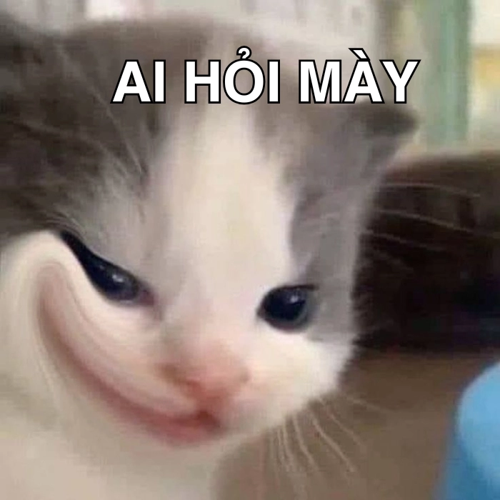 Ai hỏi mày đâu meme