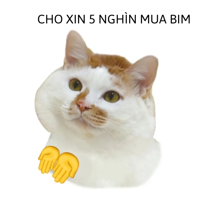 Ảnh động vật meme hài hước