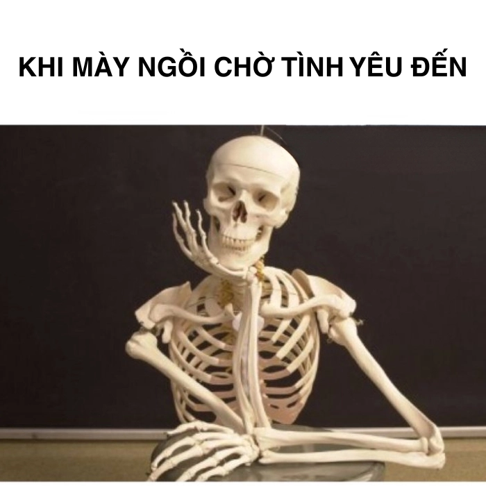 Ảnh meme bộ xương chờ