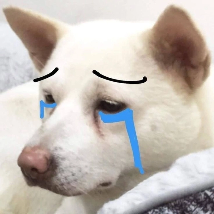 Ảnh meme buồn cô đơn