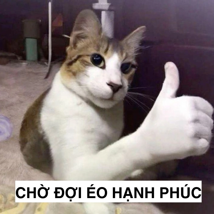 Ảnh meme chờ đợi bất lực