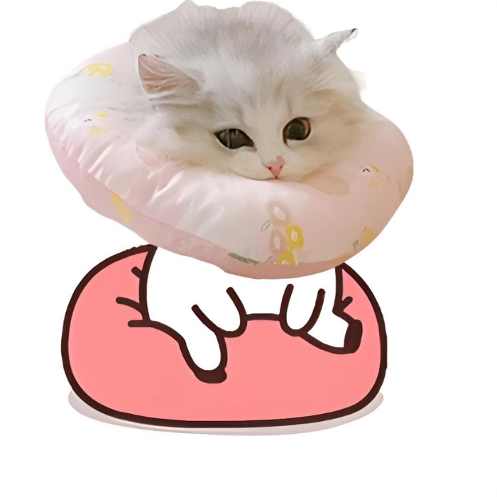 Ảnh meme chờ đợi chế
