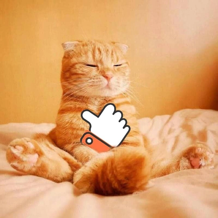 Ảnh meme con mèo like đáng yêu