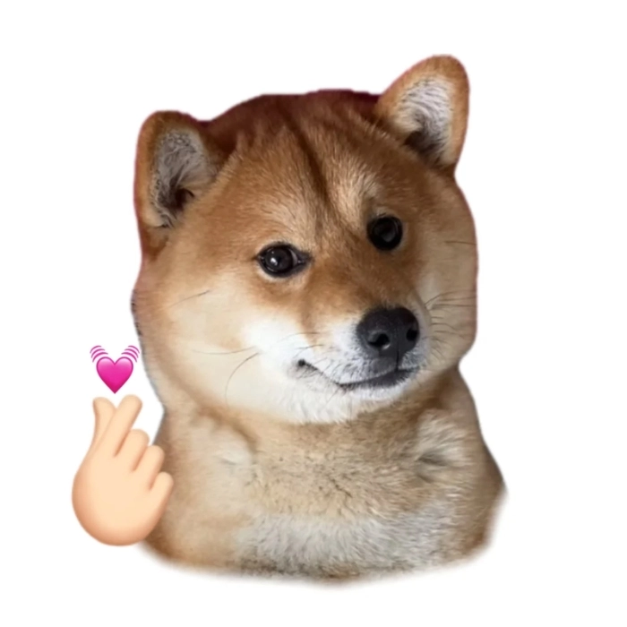 Ảnh meme động vật lầy lội