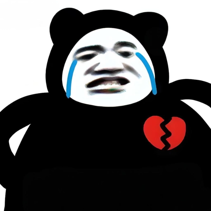 Ảnh meme gấu trúc internet