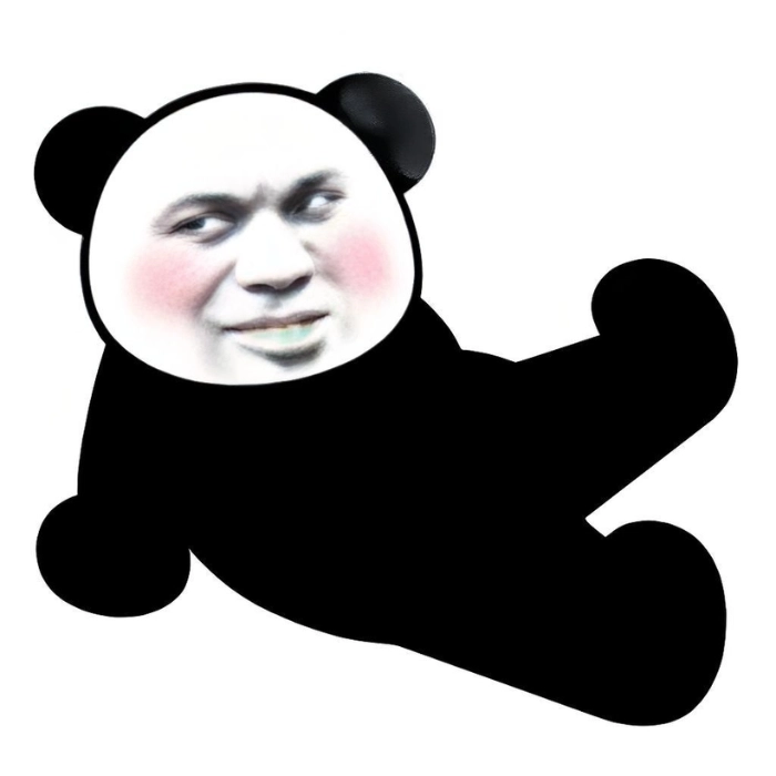 Ảnh meme gấu trúc vui nhộn