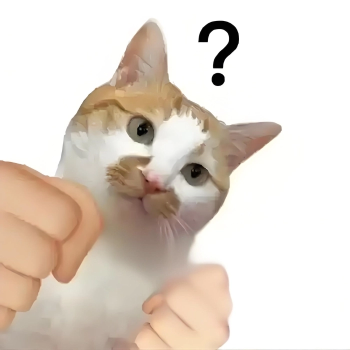 Ảnh meme hài bựa ko chữ troll