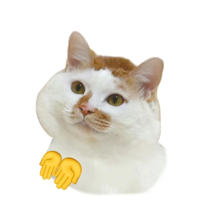 Ảnh meme không chữ cho dân chơi