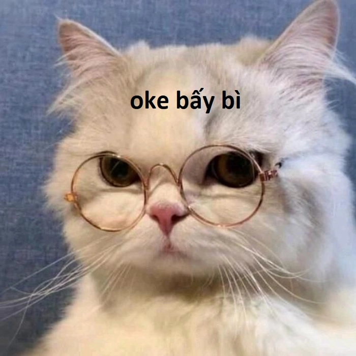 Ảnh meme mèo ok cực chất