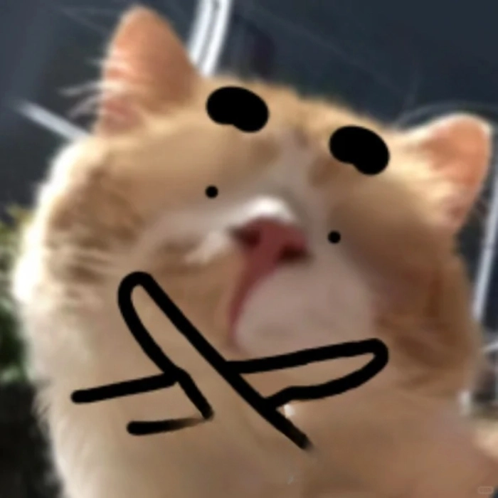 Ảnh meme từ chối ngắn gọn
