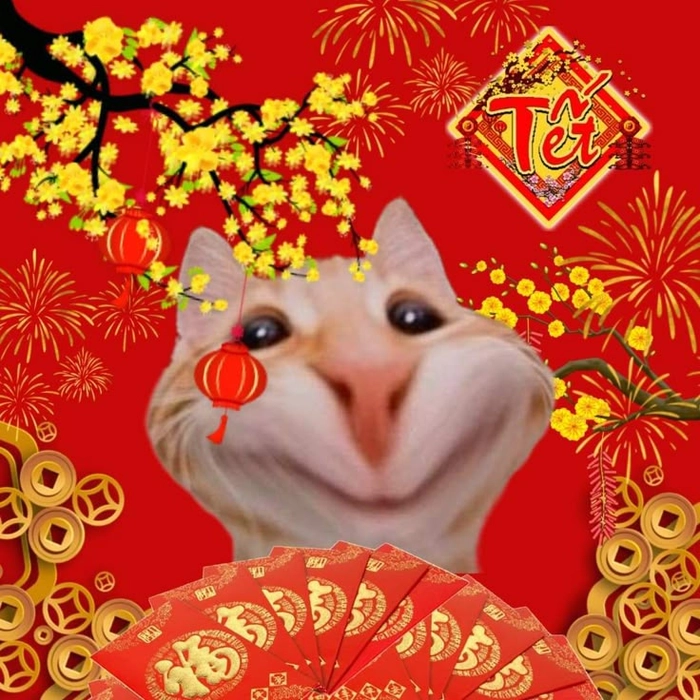 Ảnh mèo Tết meme bựa