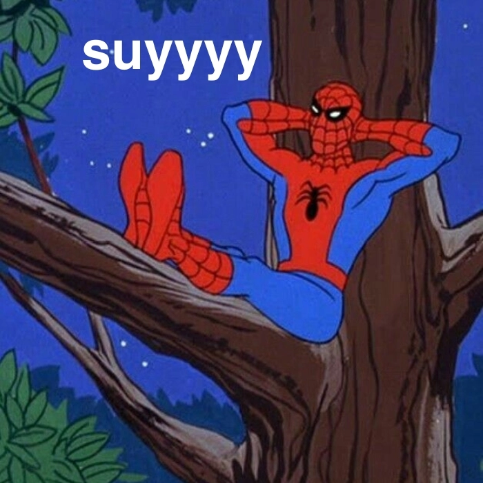 Ảnh người Nhện meme chất