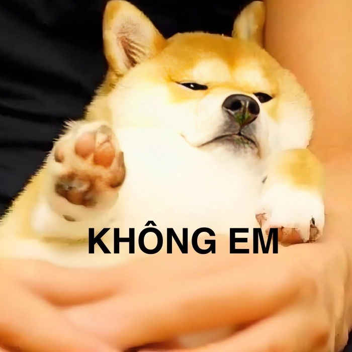 Ảnh từ chối nhận meme