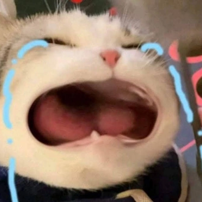 Buồn meme nhưng vẫn cute